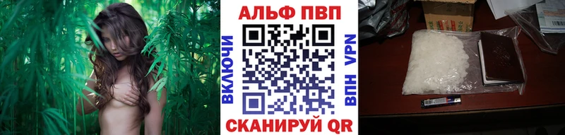 Alfa_PVP СК Белоусово