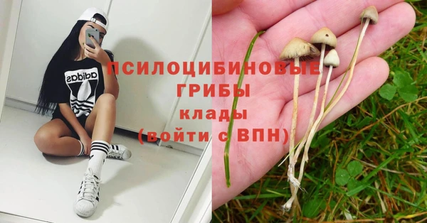 а пвп мука Ростов
